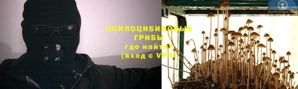 прущий лед Аркадак