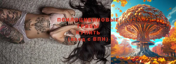 дурь Арсеньев