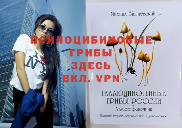 дурь Арсеньев