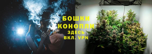 дурь Арсеньев
