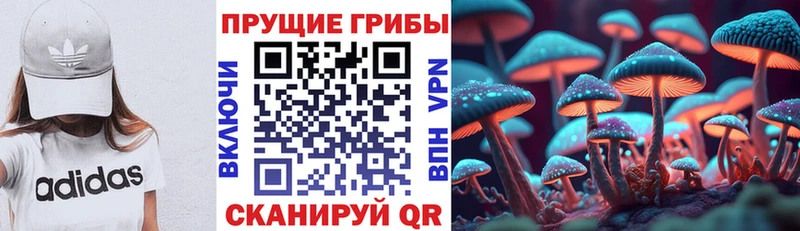 Псилоцибиновые грибы Psilocybe  Сретенск 